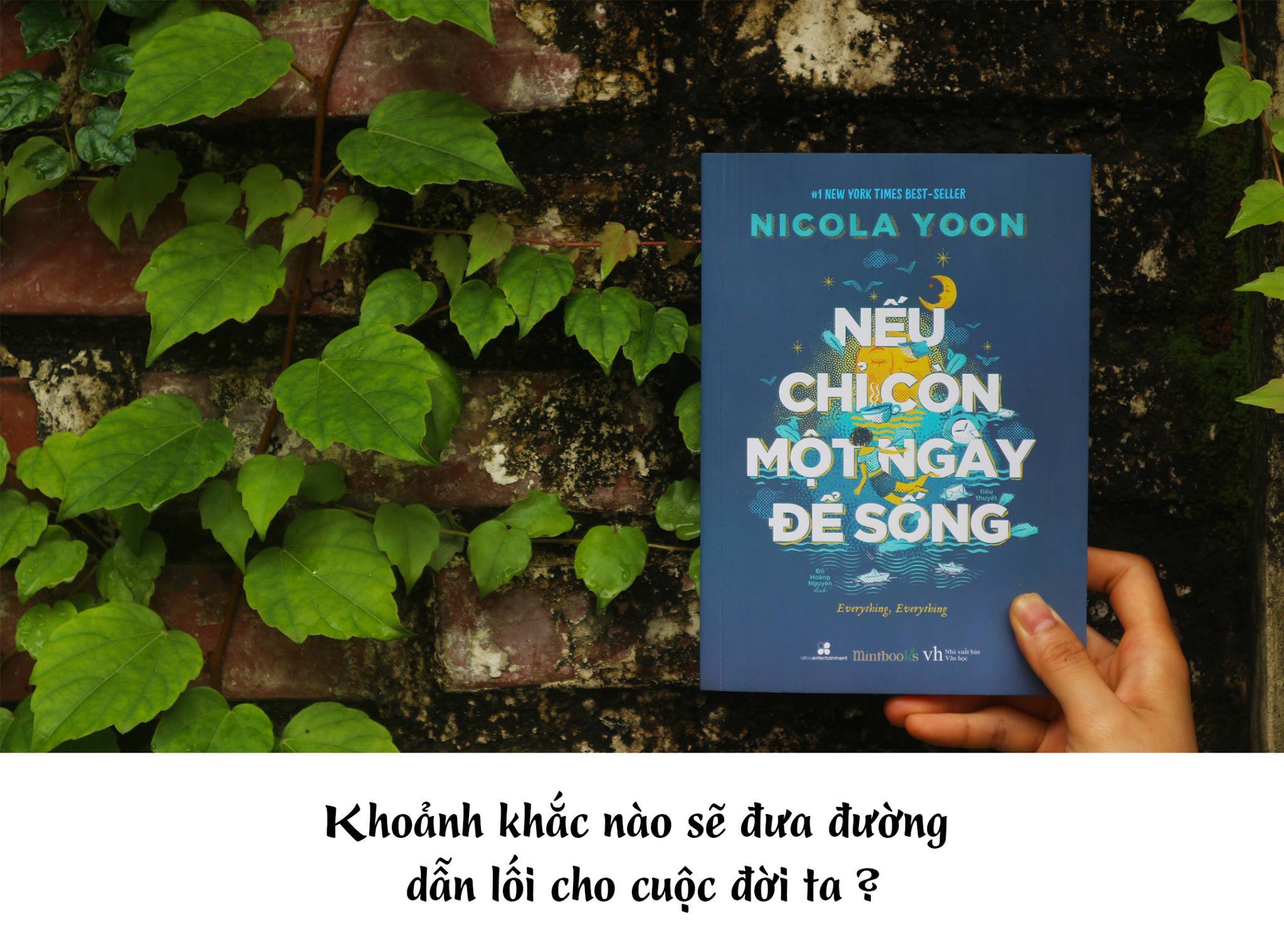 Review Sách Nếu Chỉ Còn Một Ngày Để Sống – Nicola Yoon