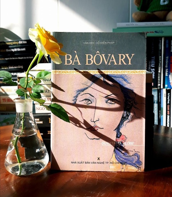 Tác phẩm Bà Bovary - Sự mâu thuẫn và va chạm giữa ước mơ và đời thực